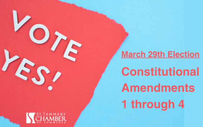Vote Yes Constitutional Amendments 1 through 4